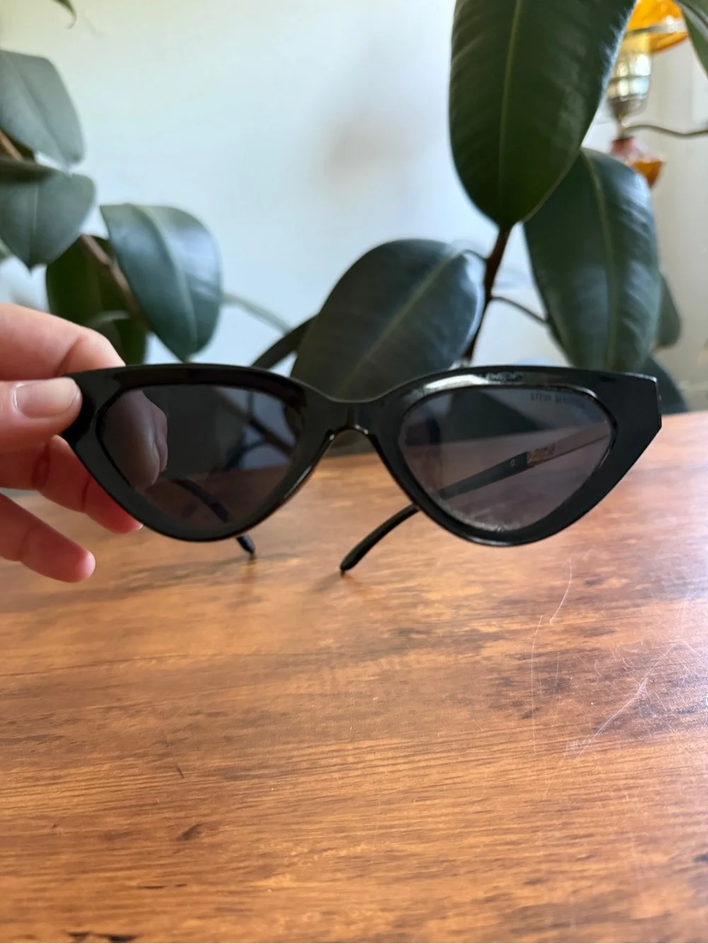 Black Cat-Eye Women's Sunglasses - Classic Style Steve Madden